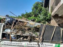 Best Basement Cleanout  in Murphys, CA